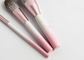 Steigungs-Farbmake-upbürsten-Satz Vonira 10 PCS rosa weißer mit Mais-Faser-Eigenmarken-Logo